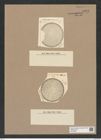 Stictodiscus sp. (de-Toni-Nr.: Genus 205) Zeichnungen Sammlung Grunow Nr. 9063 (NHMW-BOT-W0378809)
